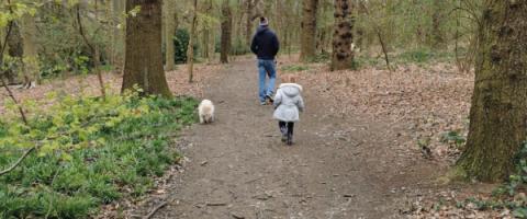 Children and Families