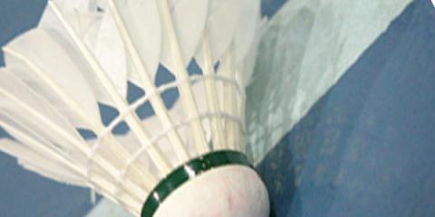 bedminton